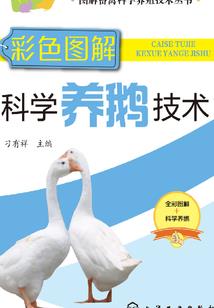 控制系统