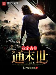 黑白之翼的终结