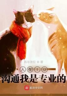 新城带不走旧事