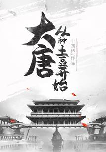 一枕万象