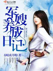 行走在黑暗中的执法者