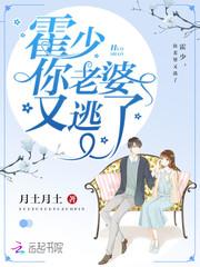 查理九世之神奇的故事