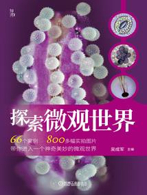 心微动奈何情已远