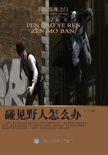 师父，我只愿侧夫