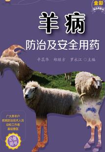 金牌推理师