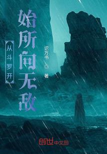海贼世界里的游侠