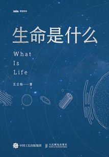 暗夜骑士的哀伤