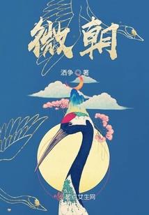 圣翼大陆
