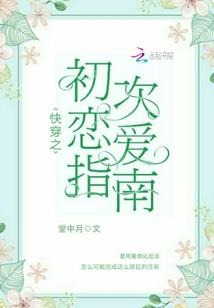 我的元界之旅
