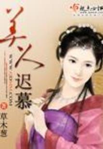 诛暗之道，平刑事界