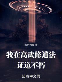 西边浪迹