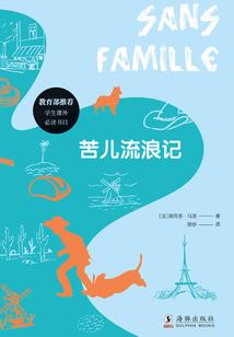 伊人何谓