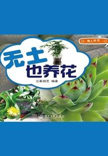 相约之恋
