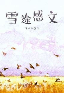 傅女婿