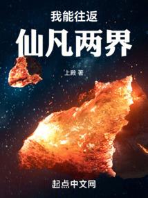 浪子飞雪