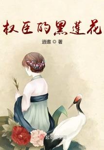 落花如笺清欢而至