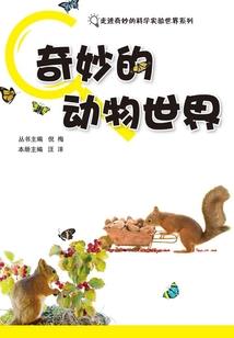 交错的光与暗