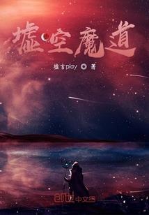 职业调解人