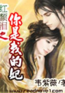 口袋妖怪神之传说