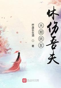 我当盗士的那几年