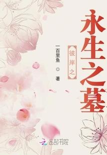 商海迷踪