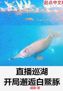 拨云创世