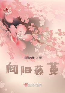 皇上有问题