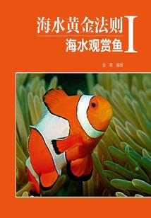 童话版爱情