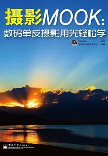 火爆夫妇：独宠小蛮妻