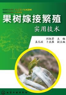 天下一行
