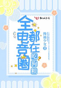 宠物小精灵之疾风