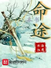 挽雕弓射天狼