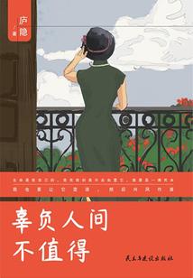 大宋第一反王