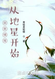 支配着之舞