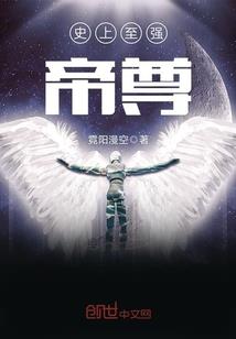 仙之路道之巅峰