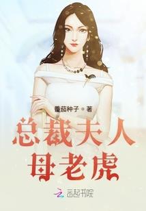 剑武宸星