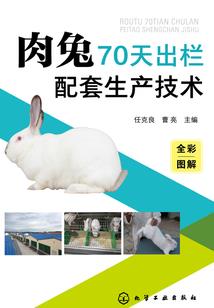 小人物的异世界旅途
