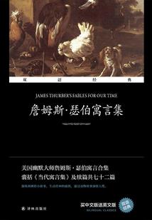 陈先生的光