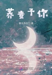 肖邦的梦幻吉他谱