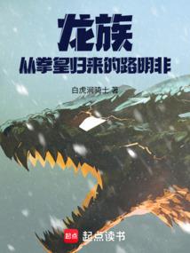 第五圣子