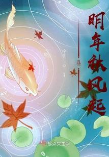 追盗