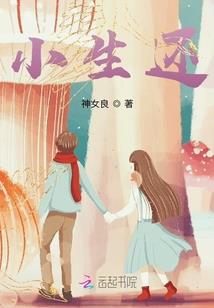我的顶级偶像之路