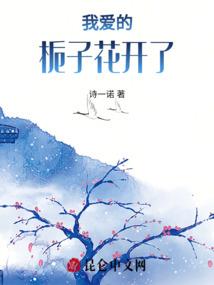 我只是个冒险者