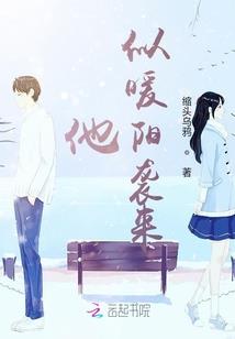 锦衣卫之枭