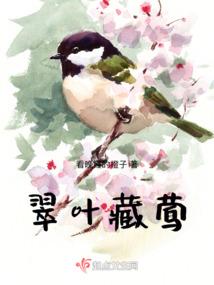 凤帝的美男后宫
