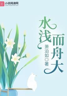系统之宠冠后宫：妃惑君心
