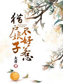 宠爱从网恋开始