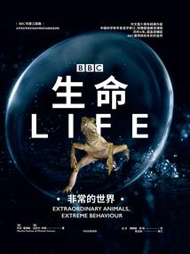 摇曳星光