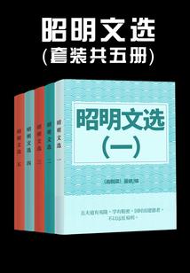 熠星追月
