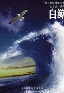 最强教书大师